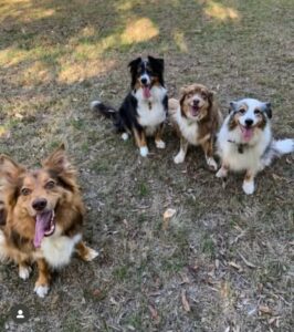 0b0b29bd-7f7a-4083-931a-1d8853838de5-266x300