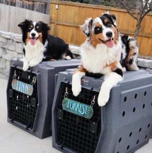 145b3023-1121-49bc-b323-685e7b4f3b84-298x300