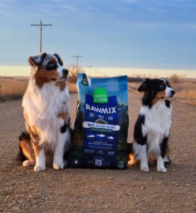 70b9c2f7-874f-4e5d-96a7-c390dfb6462e-277x300