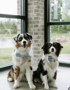 c0d3b050-e601-487c-bfa8-ae19978ce0ae-234x300