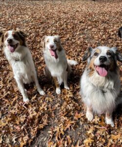 e8ba72af-ffa5-4696-811f-564c2862f410-250x300